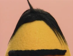 Ewhair-homevideo