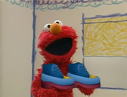 Ewshoes-count