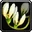 INV Misc Flower 03