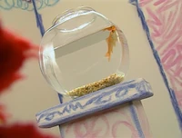 Ewwater-homevideo.jpg