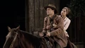 Trip Tpol horse.jpg
