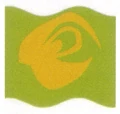 Mars Guo flag.jpg