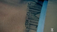 Prison Break 203