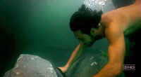 Paulodive2