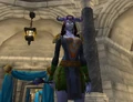 Ammenkayn-stormwind.jpg