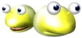 Bulborblarva.jpg