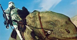 Dewback.jpg