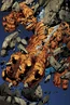 Ultimate Fantastic Four Vol 1 19 Textless