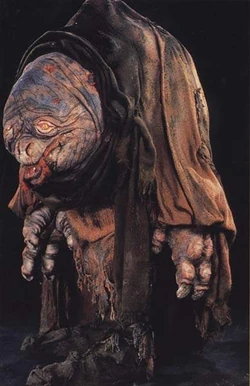 Hermi Odle.jpg