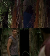Swandoorcomparison