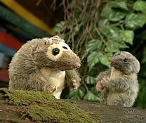 Thepossums