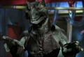 GornMale1.jpg