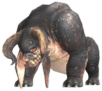 Buffalo.jpg