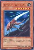 SaberBeetle-SOI-JP-C