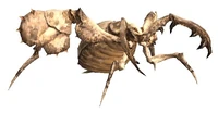 Antlions.jpg