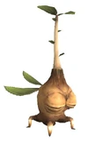 Sapling.jpg