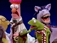 TMS-live-christmas3.jpg