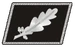 Nazi colonel
