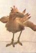 FFXIIRedChocobo
