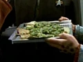 Algae puff.jpg