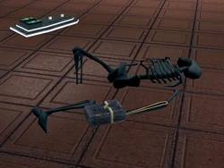Dergar Chesters Skelett.jpg