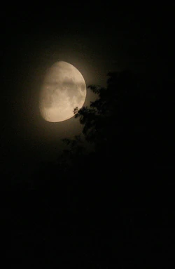 Nightmoon.jpg