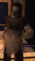 Gorwooken.jpg