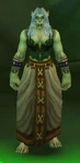 Earthmender Wilda