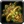 Inv shield 40