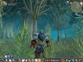 Thumbnail for version as of 06:37, May 31, 2007