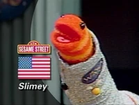 WASA-slimey
