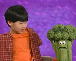 4117x