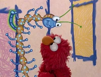 Ewbugs-count.jpg