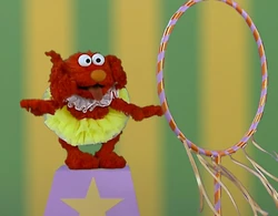 Ewdogs-circus