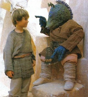 Anakin-Wald