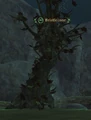 Bristlecone.jpg