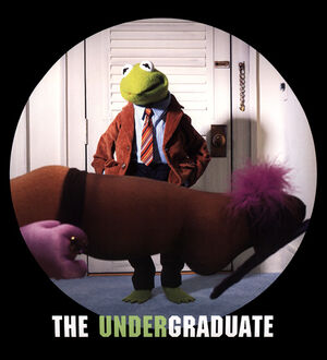 Undergraduate