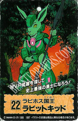 RabbitKidcard