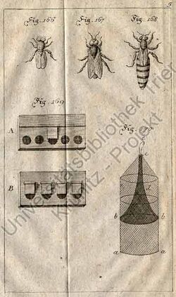 Oekonomische Encyklopaedie 166