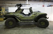 WarthogB110707