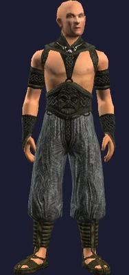 Wu's Fighting Shirt (Visible, Male).jpg