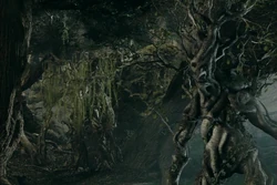 Ents
