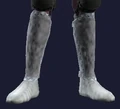 Boots of Hardened Ice (Visible).jpg