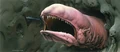 MCQ-spaceslug.jpg