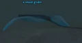 Shoal glider.jpg