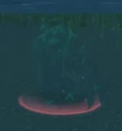 Fen Creeper.JPG