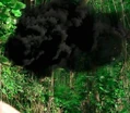 Monstre 2x10.jpg