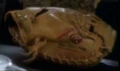 Rawlings baseball glove.jpg