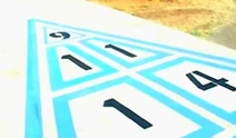 110shuffleboard