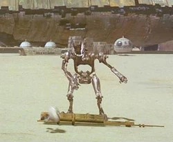 ASP.jpg